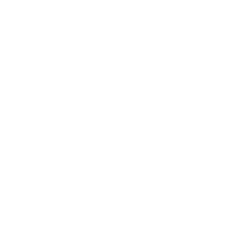 Touch of class destination wedding planners houston texas logo